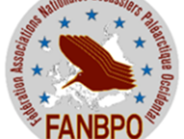 FANBPO 2025 16-17 May – Mendrisio